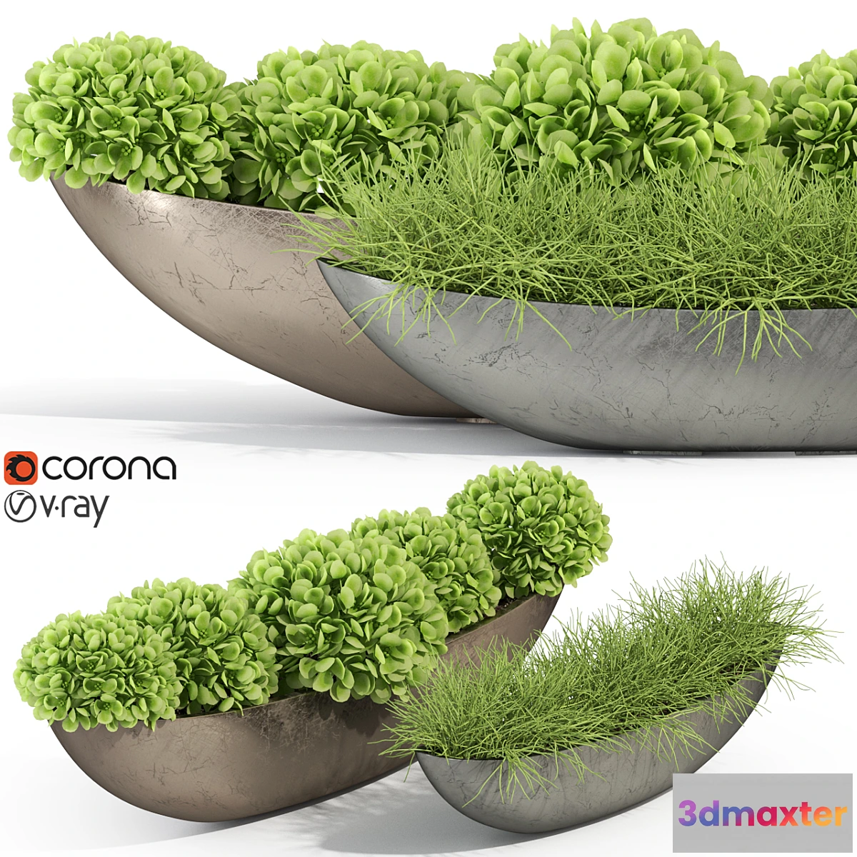 618315 - Plants collection 280 Fleurami ROYAL