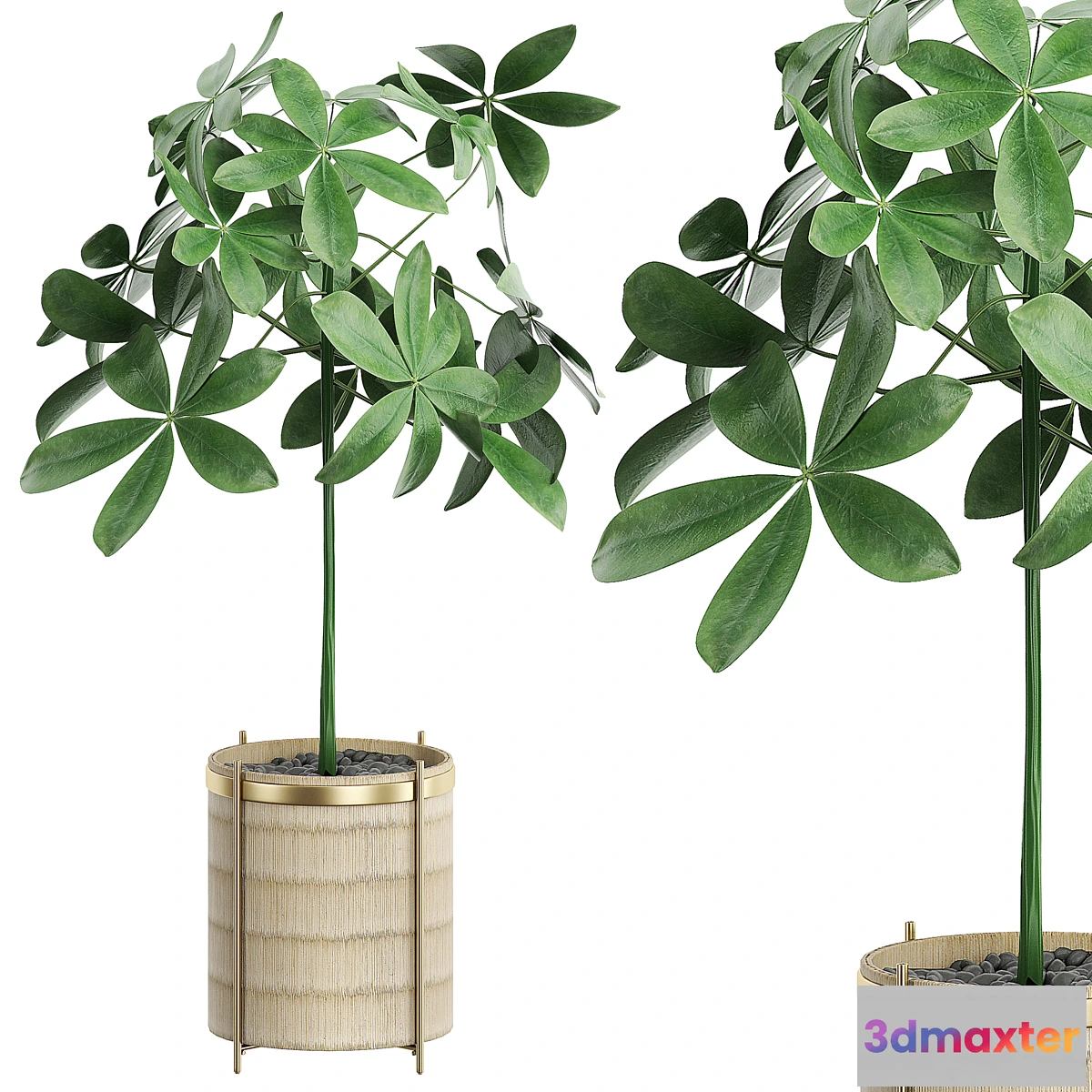 618329 - INTERIOR FLOWER 23