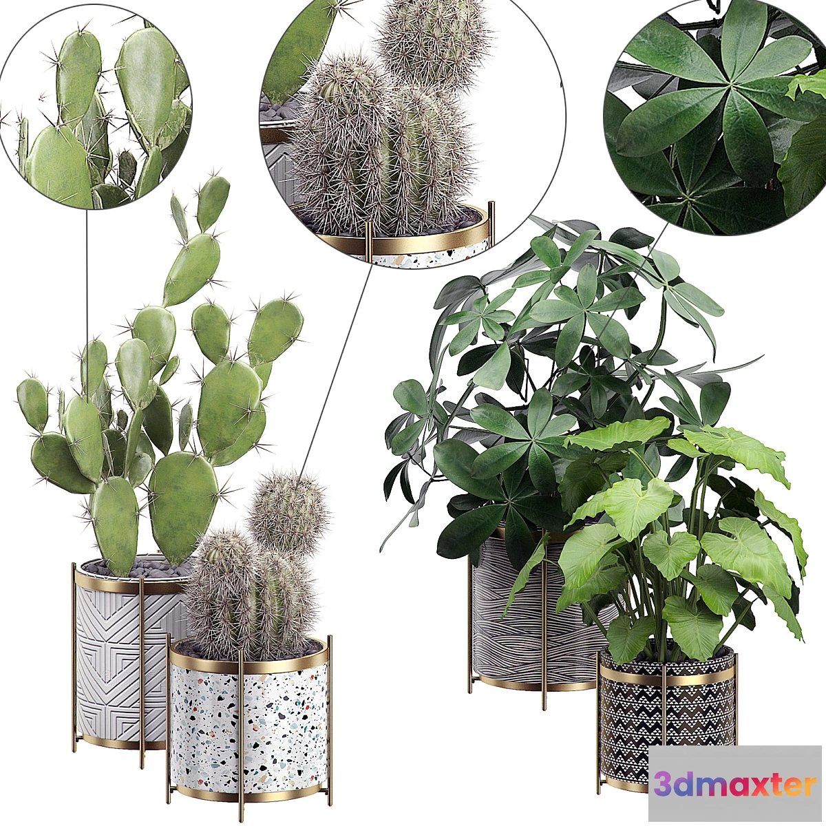 618331 - INTERIOR FLOWER PACK 19 - CACTUS. Part 3