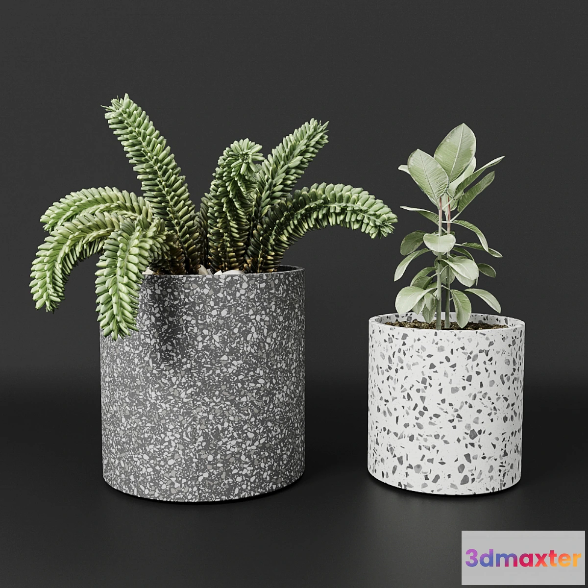 618359 - Planter pot Bransc pots