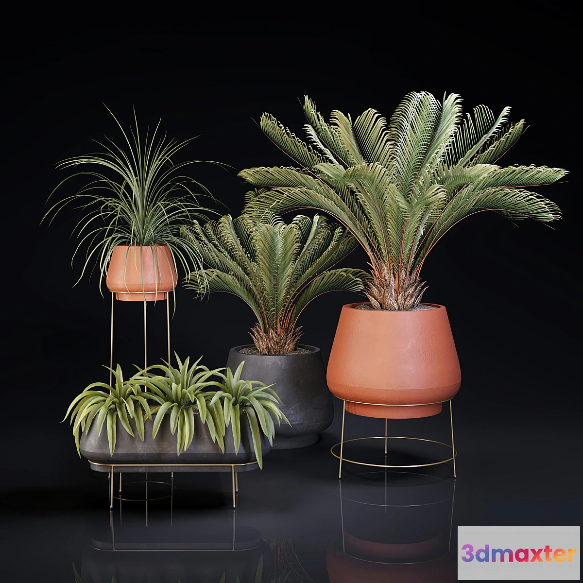 618383 - Plants collection 01