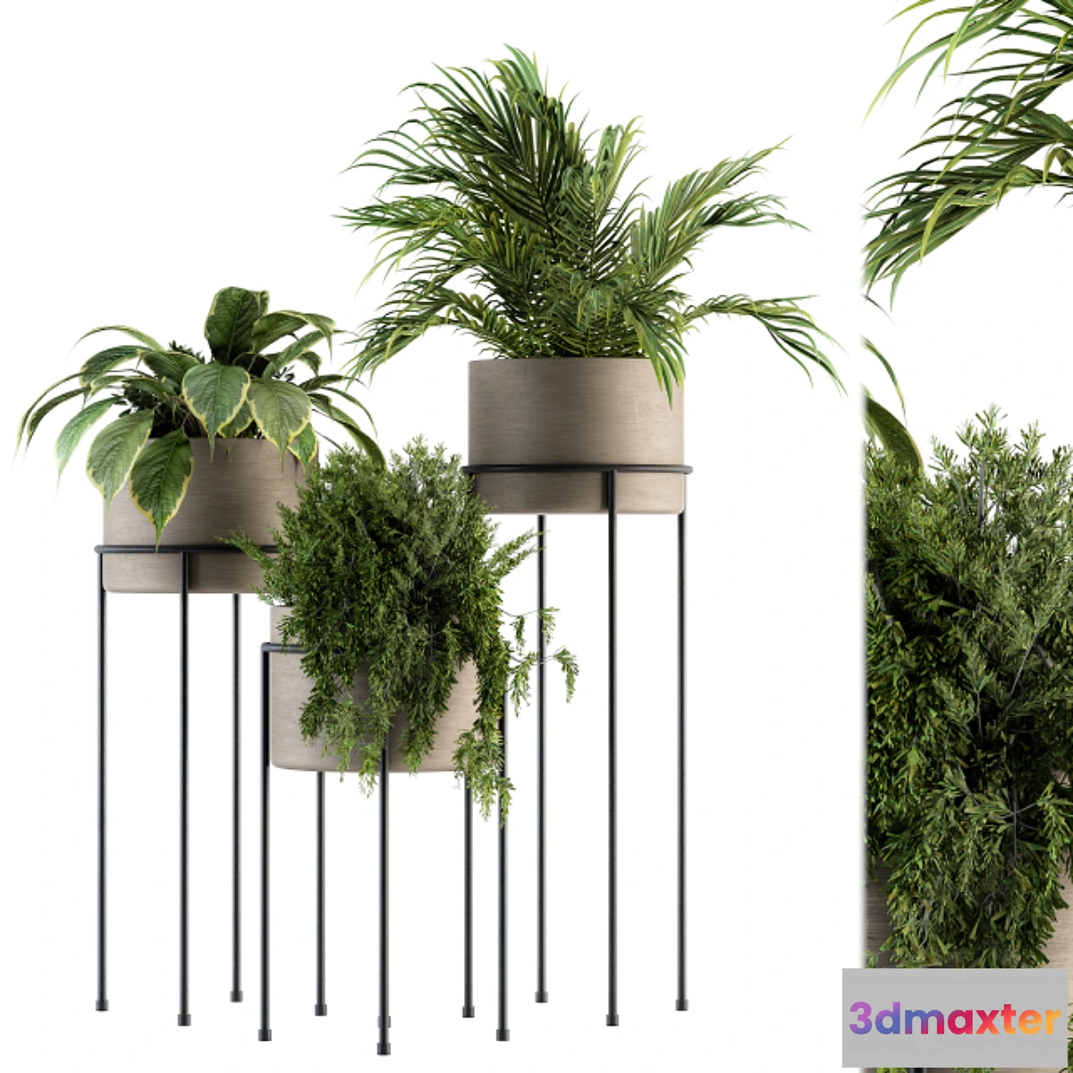 618405 - indoor Plant Set 129 - Plant Stand