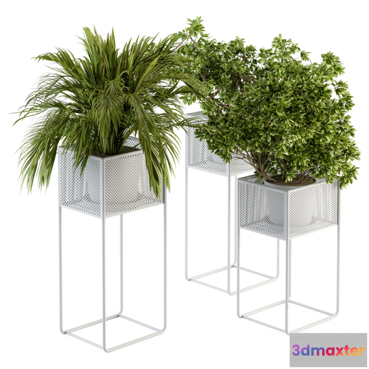 618425 - indoor Plant Set 174 - Plant in stand box