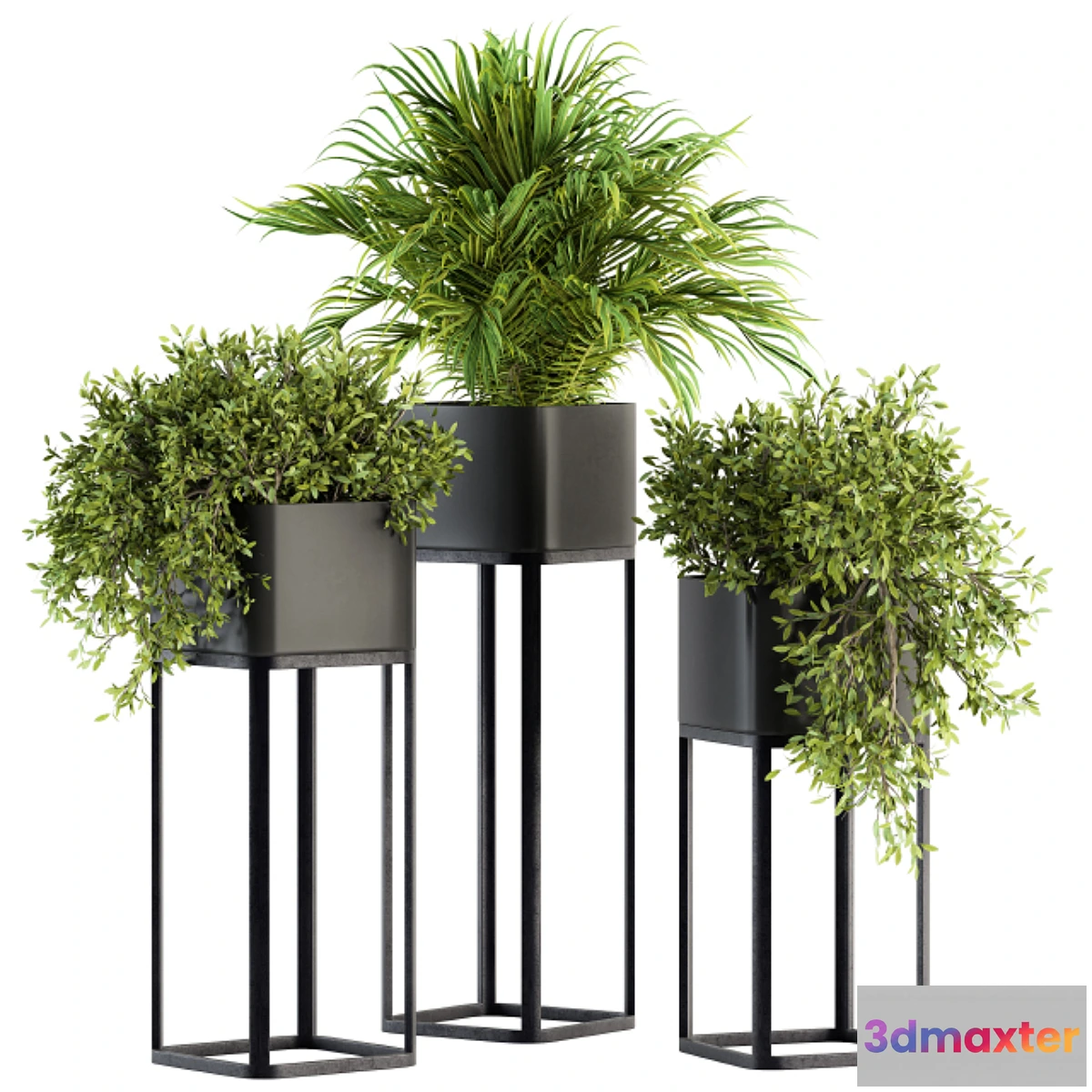 618443 - indoor Plant Set 211 - Plant Box Stand