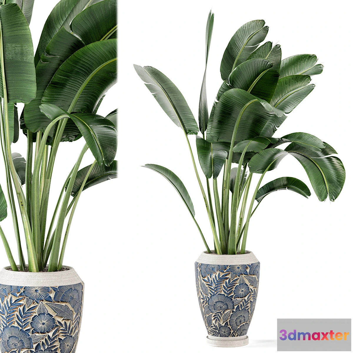 618469 - Indoor Plants in rusty Concrete Pot - Set 184
