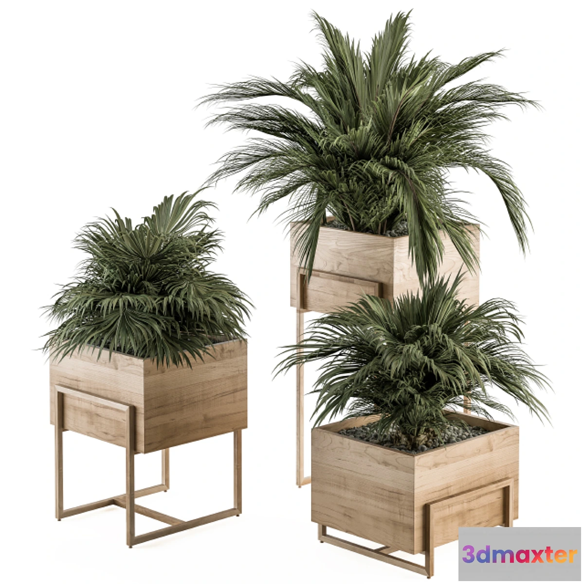618491 - indoor Plant Set 318 - Plant Set in Wood Box