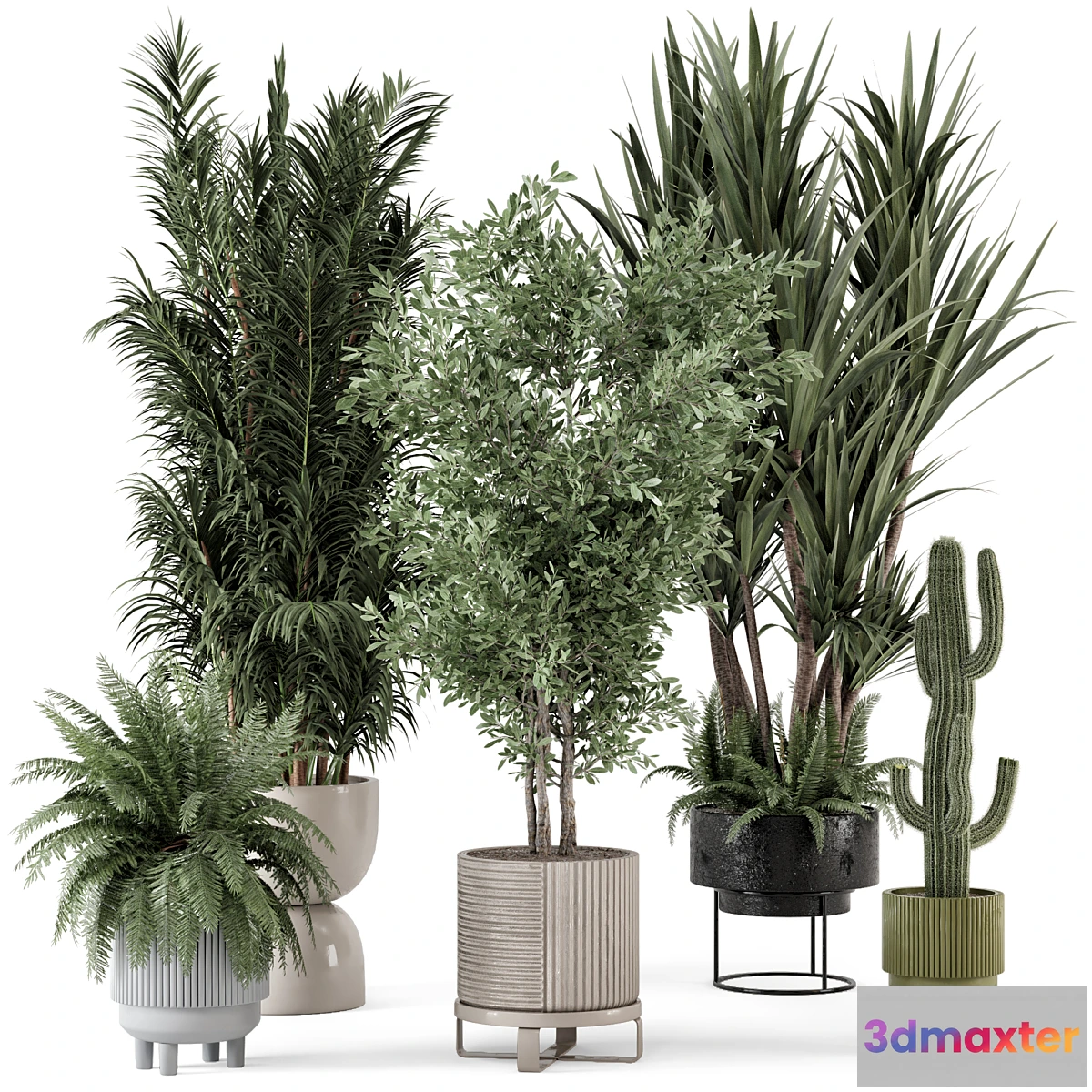 618497 - Indoor Plants in Ferm Living Bau Pot Large - Set 362
