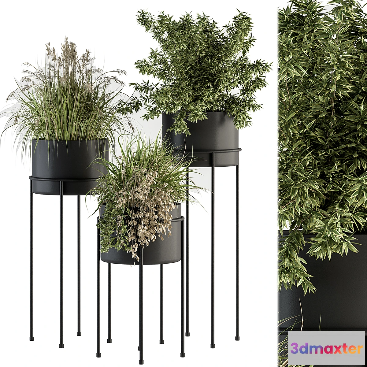 618529 - indoor Plant Set 370 - Tree and Plant Set Stand pot