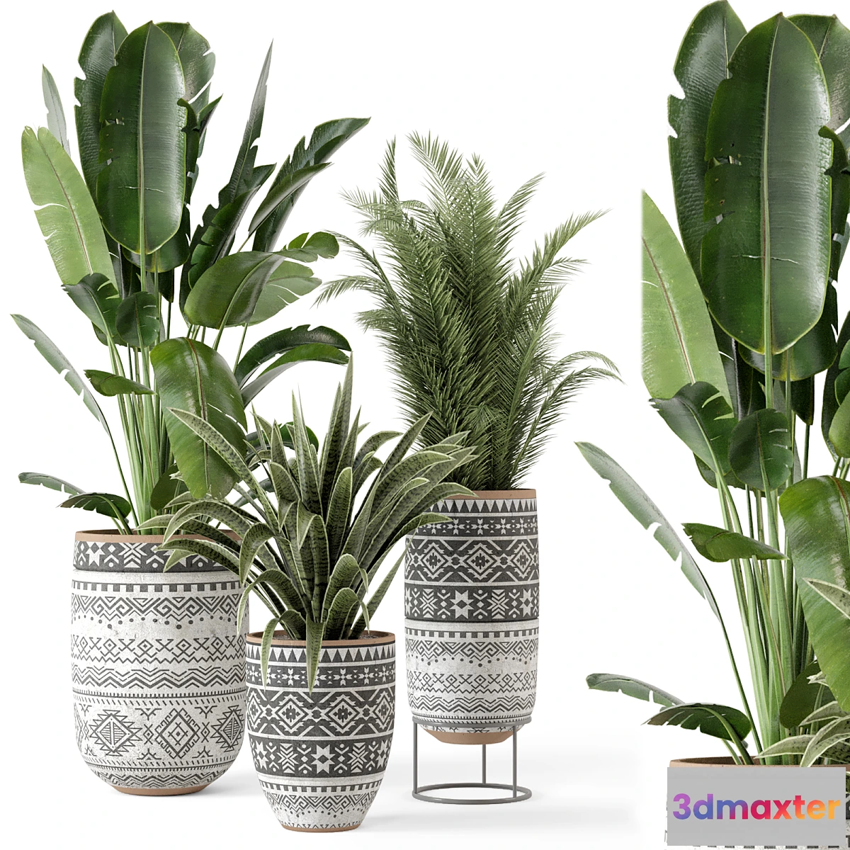 618535 - Indoor Plants in rusty Concrete Pot - Set 628