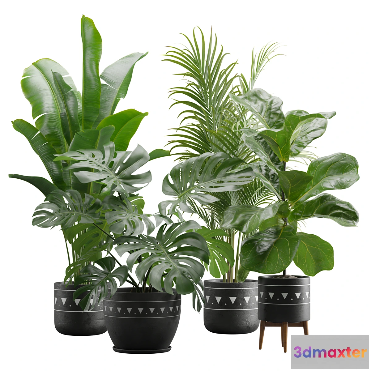 618541 - Indoor Plants Pack 17