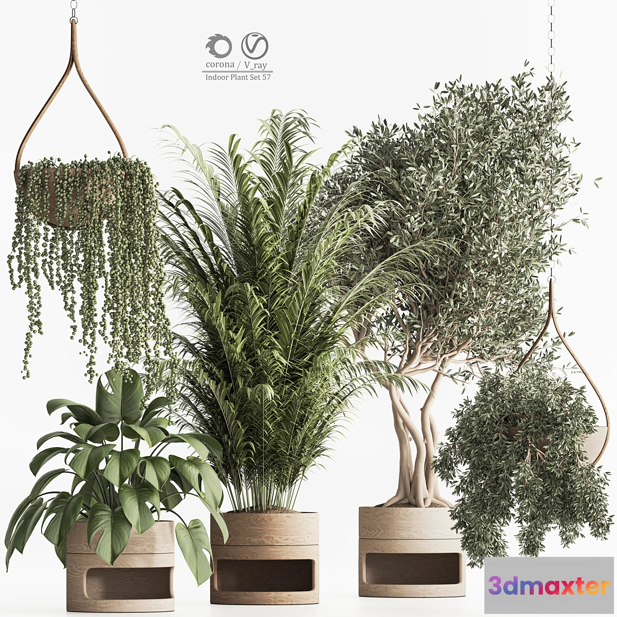 618545 - Indoor Plant Set 57 - No.2