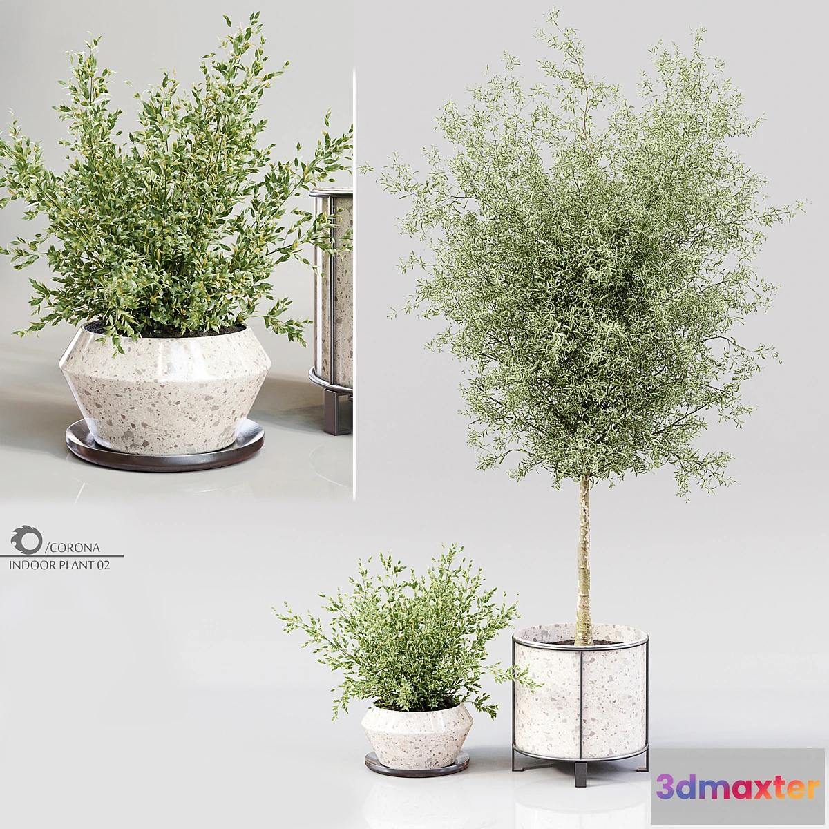 618569 - Indoor Plant 02 - No.2