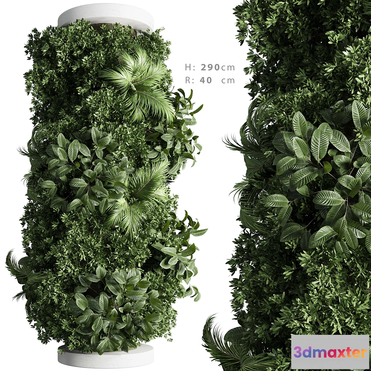 618723 - Column plant 02