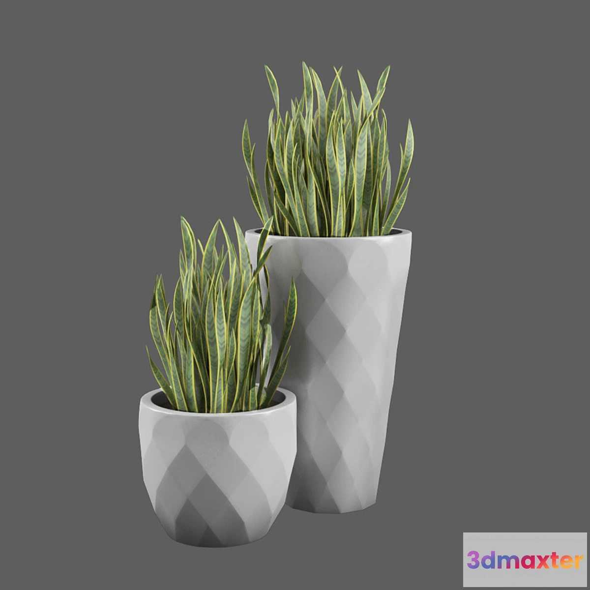 624945 - vazon JM Ferrero