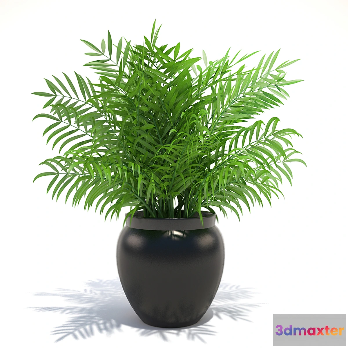 631857 - Plant - No.11