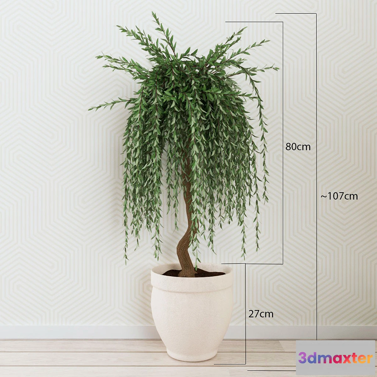 636483 - Houseplant 012