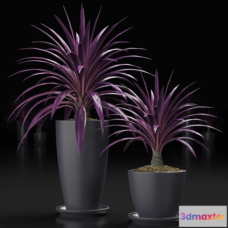 636557 - PLANTS_16 - No.2