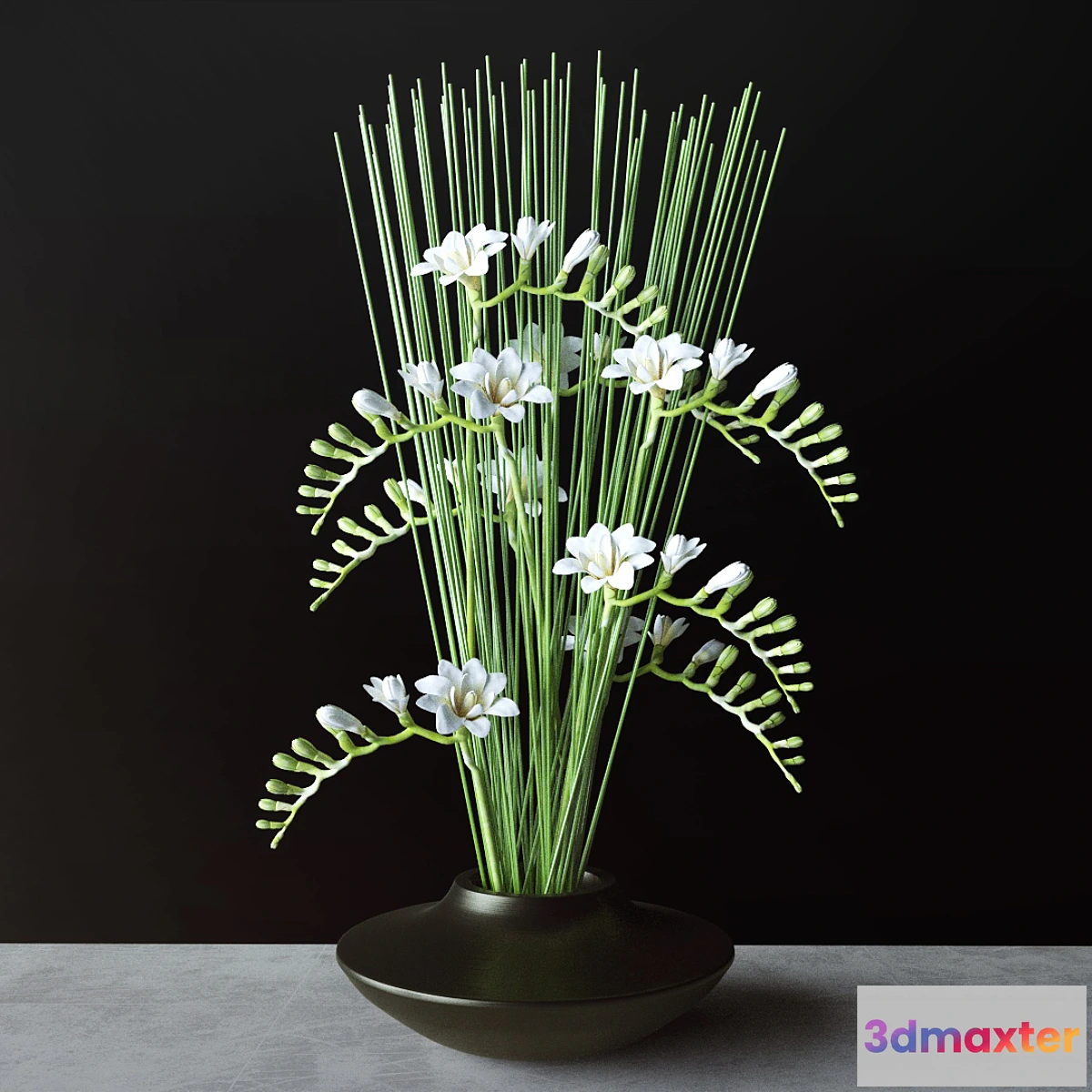 645829 - Flowers Freesia