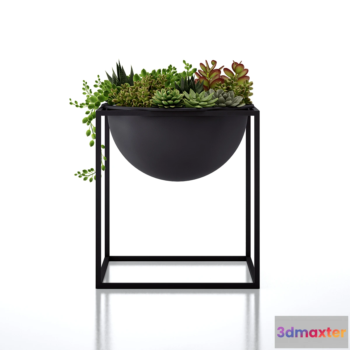 645923 - The Kubus Bowl