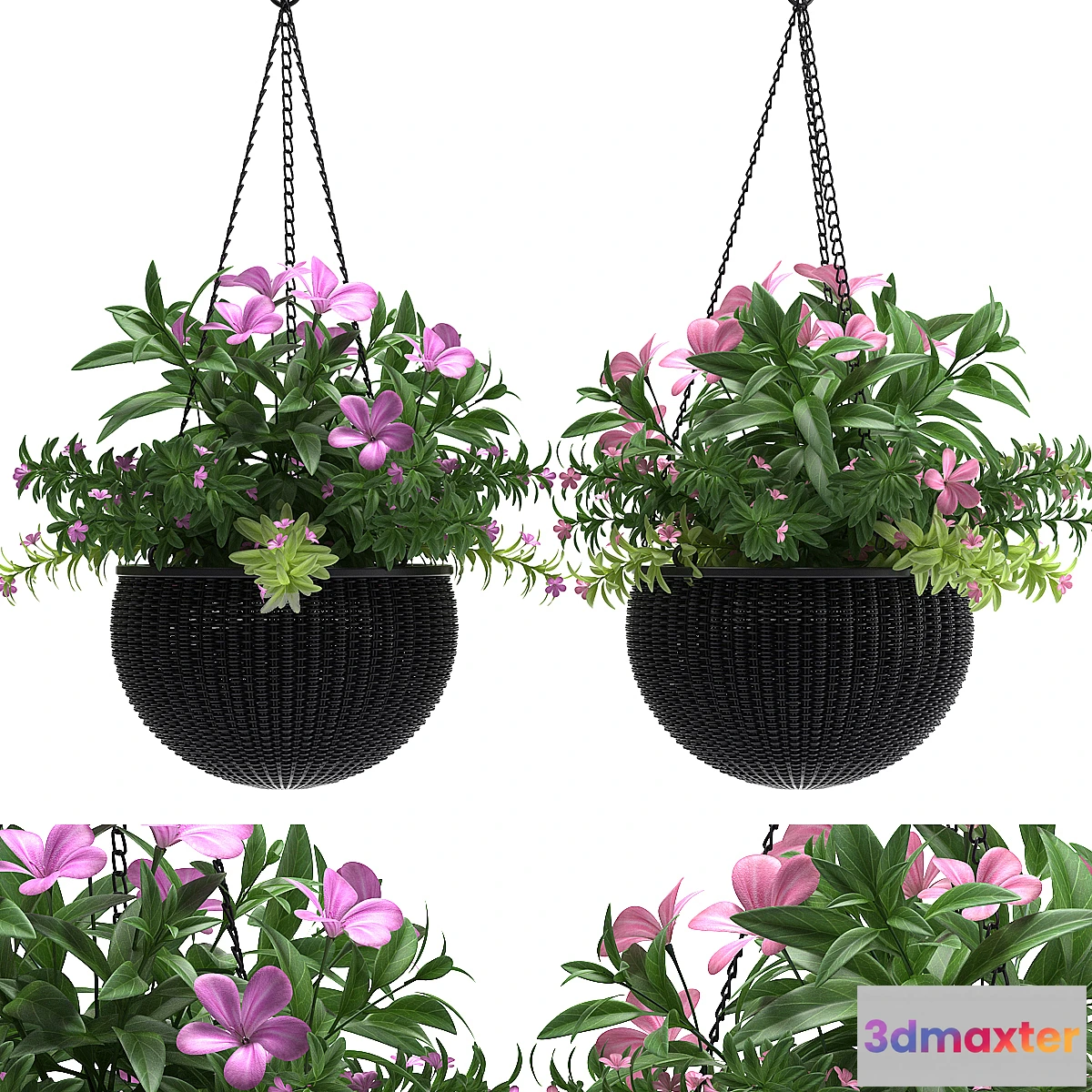 649921 - HANGING BASKET