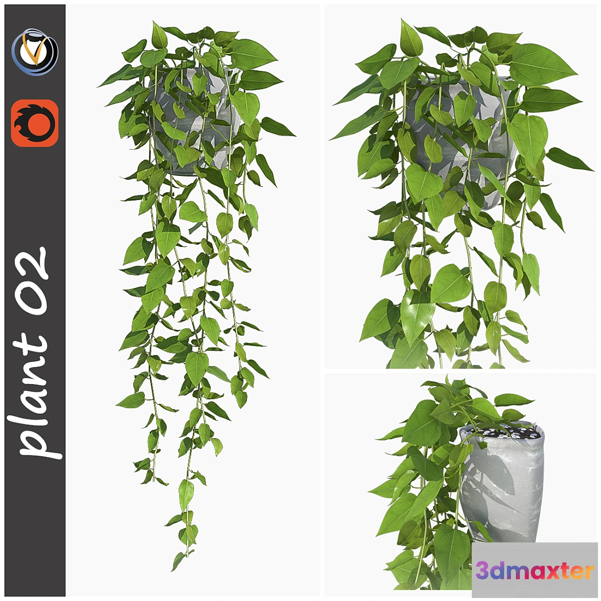 649931 - plant 02