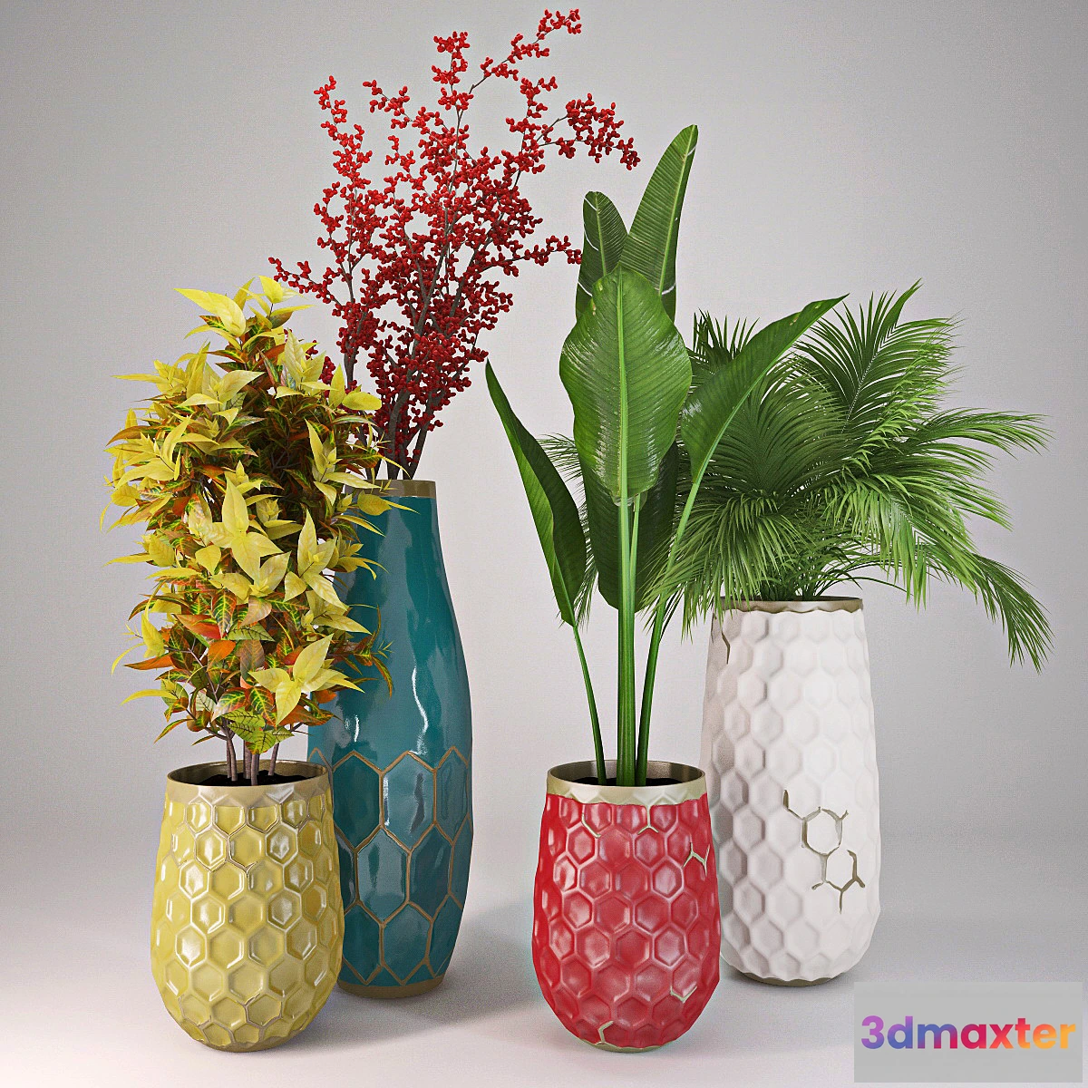 650229 - Plants Collection II