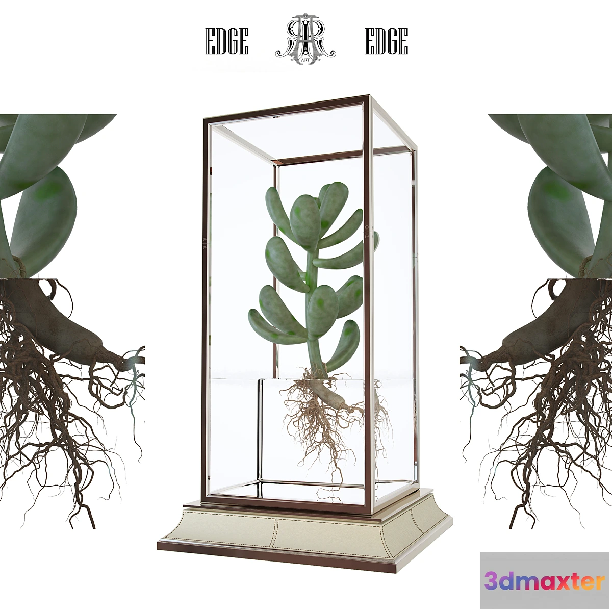 650319 - Cactus in a vase on a stand