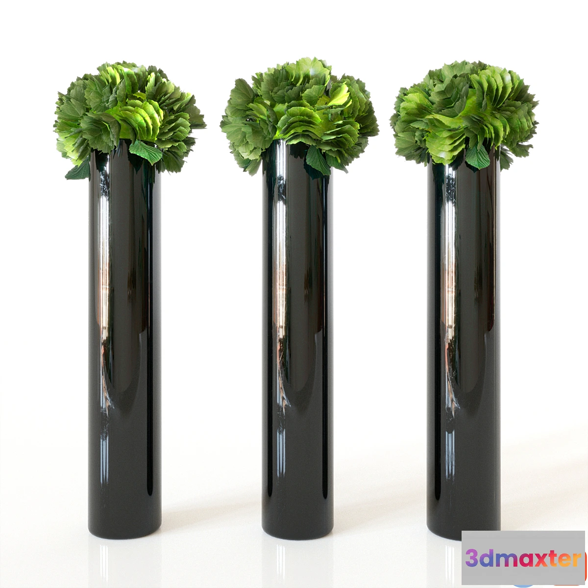 653537 - Hydrangea - No.4