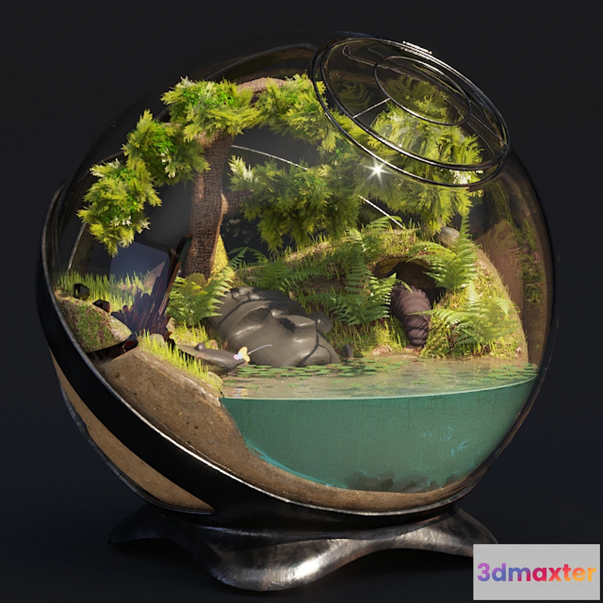 654937 - Florarium Tropical