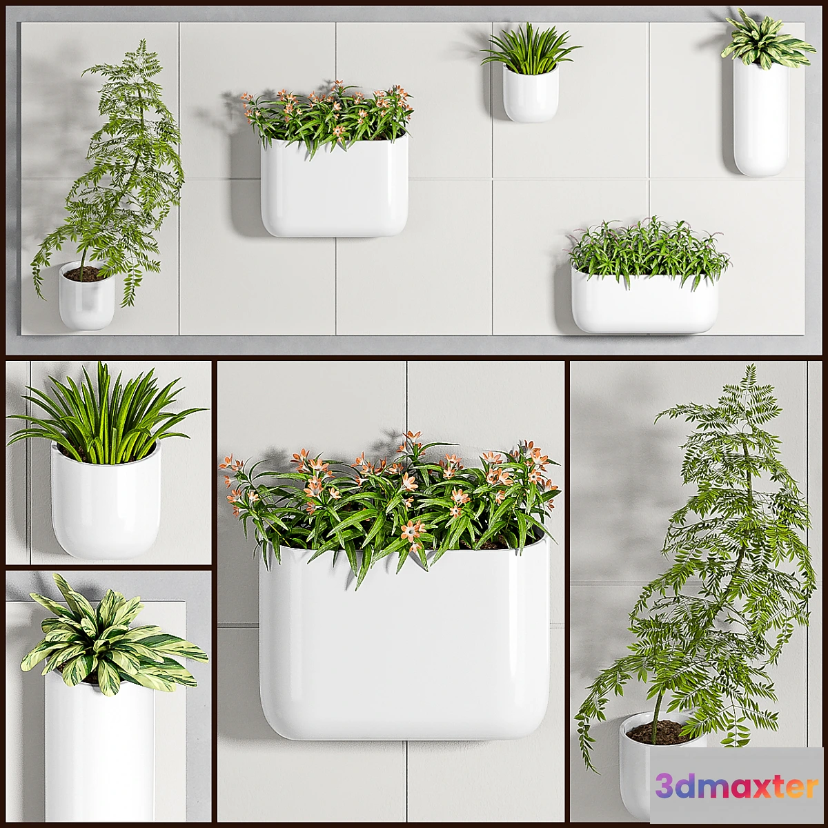 654965 - PLANT SET -94