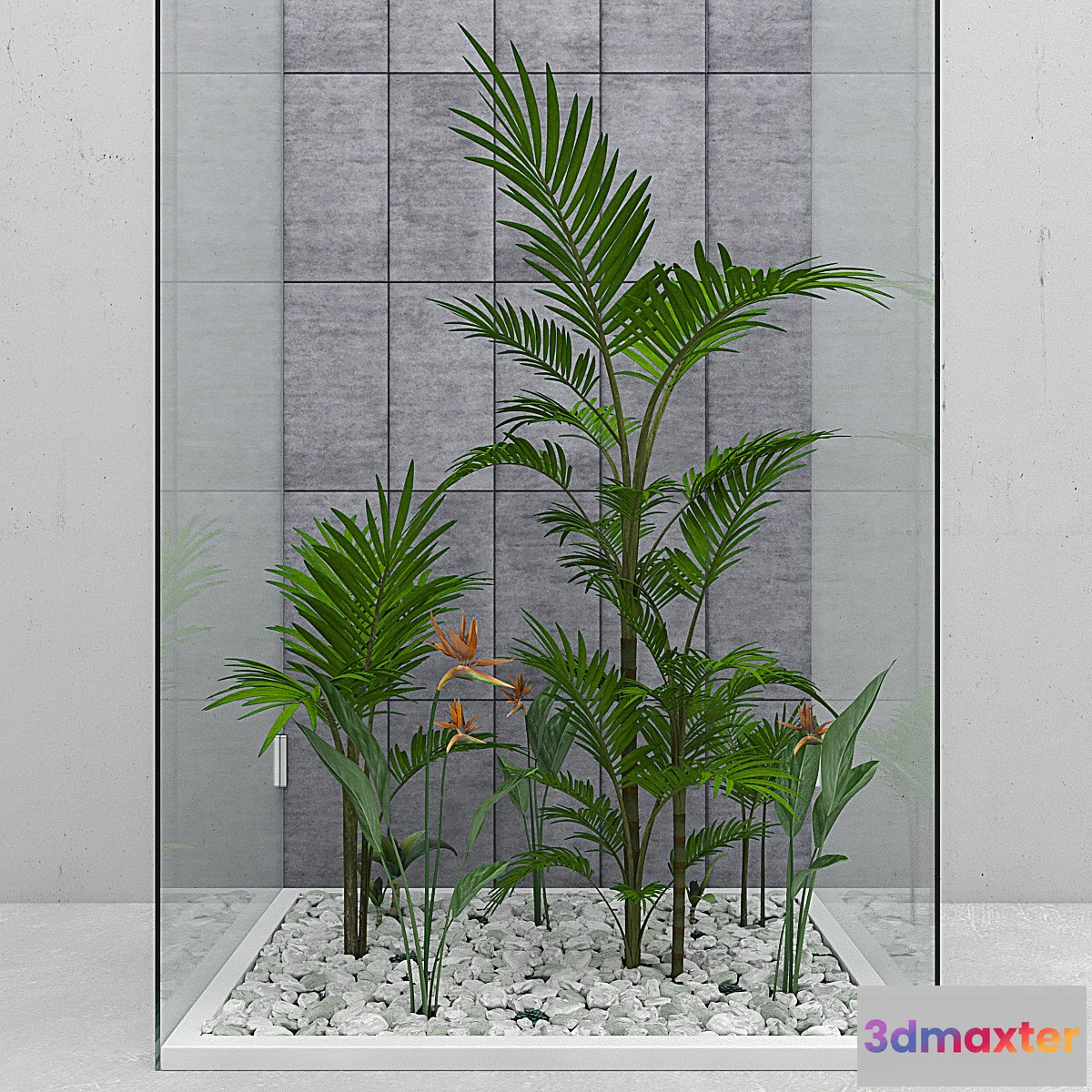 655011 - Flowers and plants set