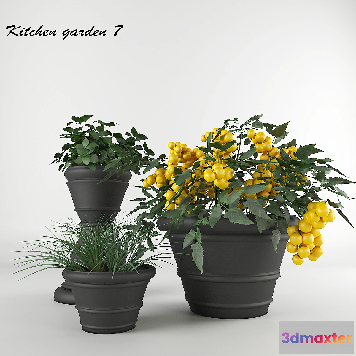 655051 - Ornamental garden # 7