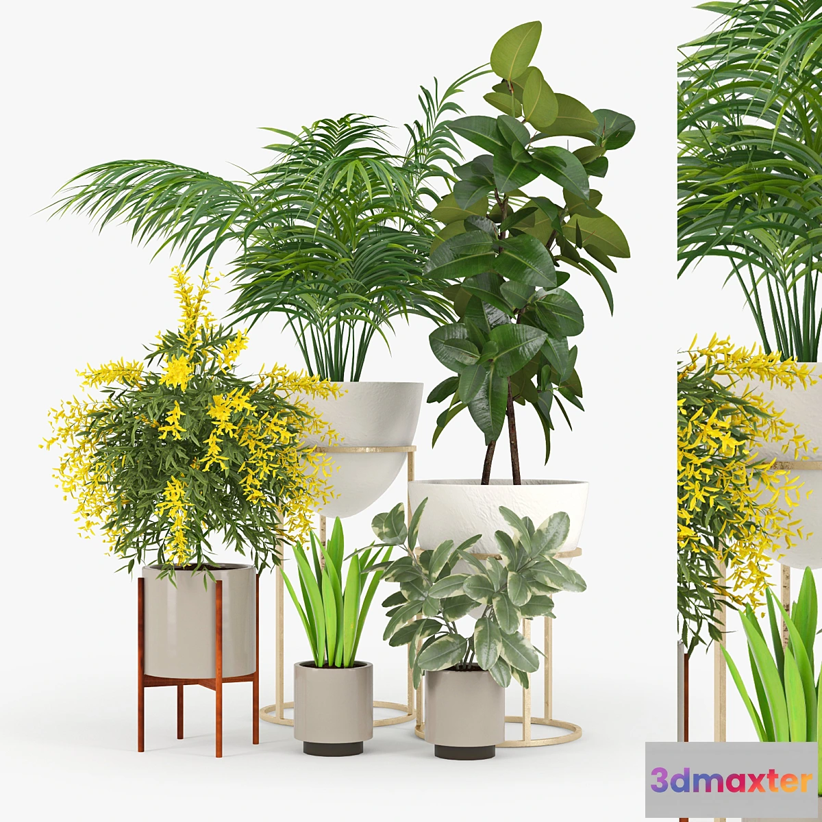 655057 - Plant Set 01