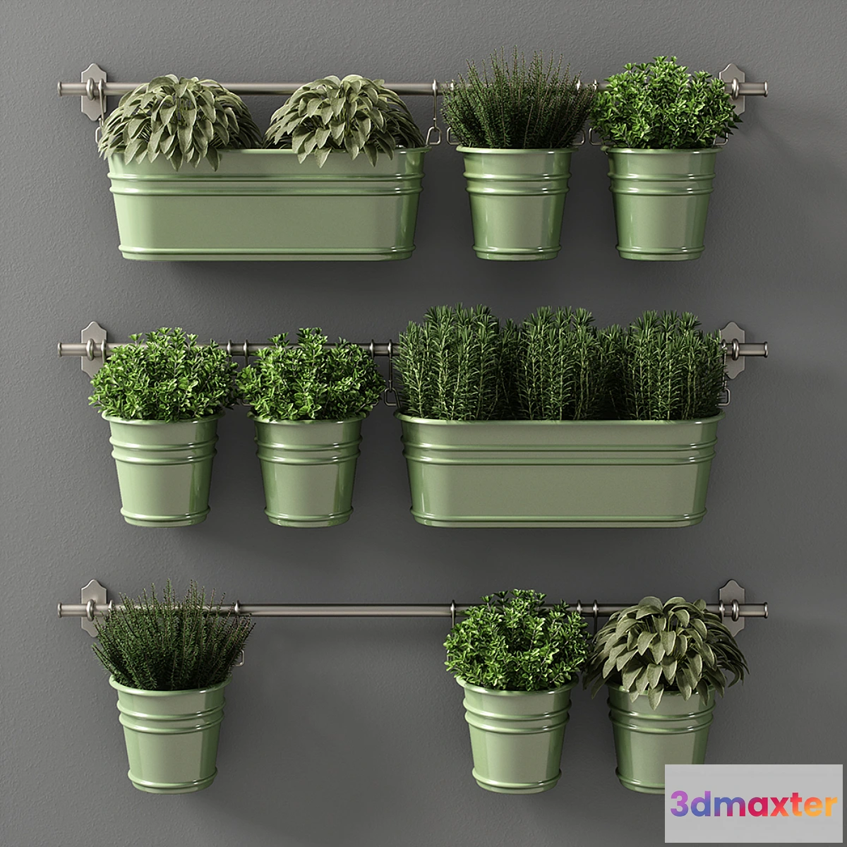 658021 - plants set 08