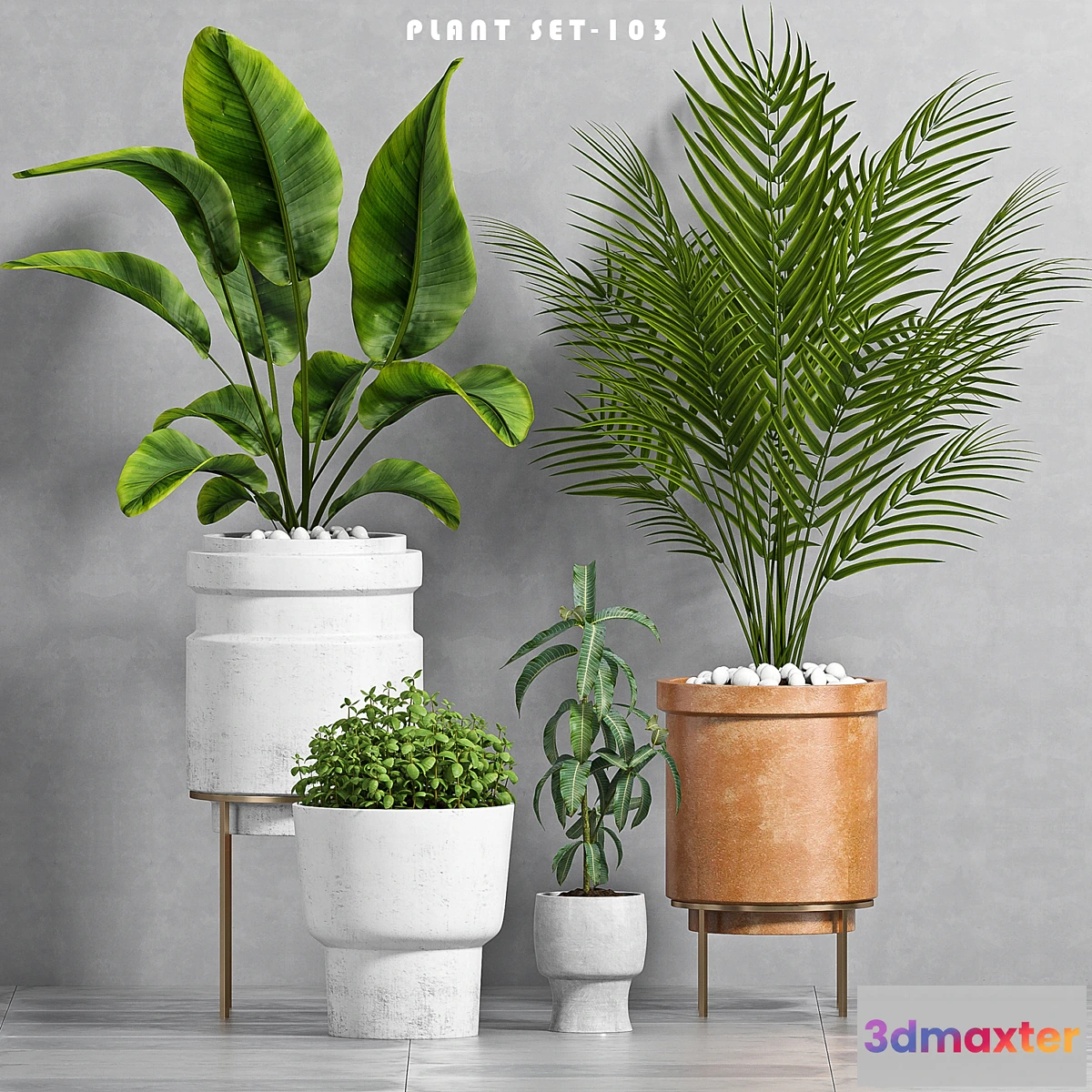 658073 - PLANT SET -103 - No.2