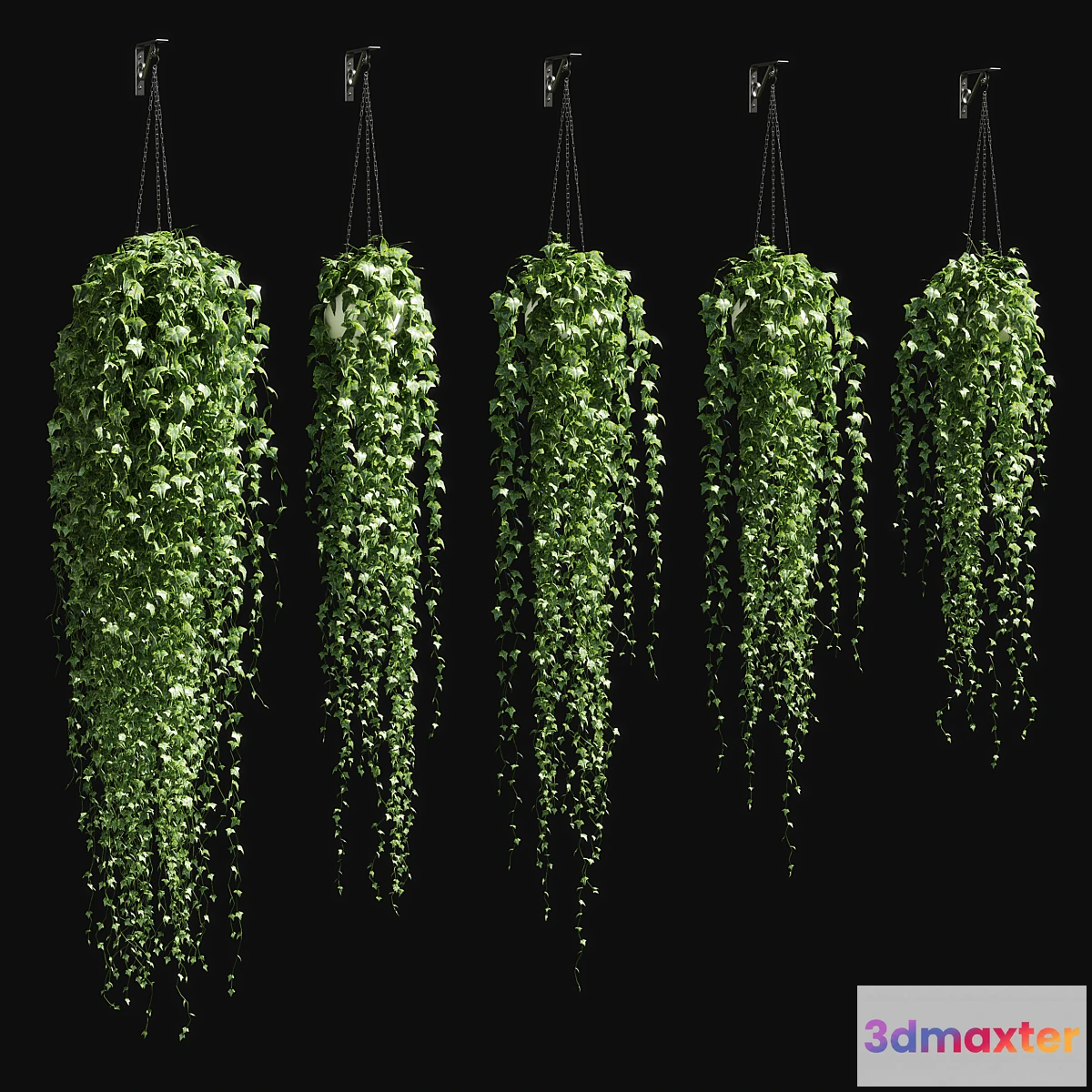 658083 - Ivy in a pot on the chain v3 - No.2