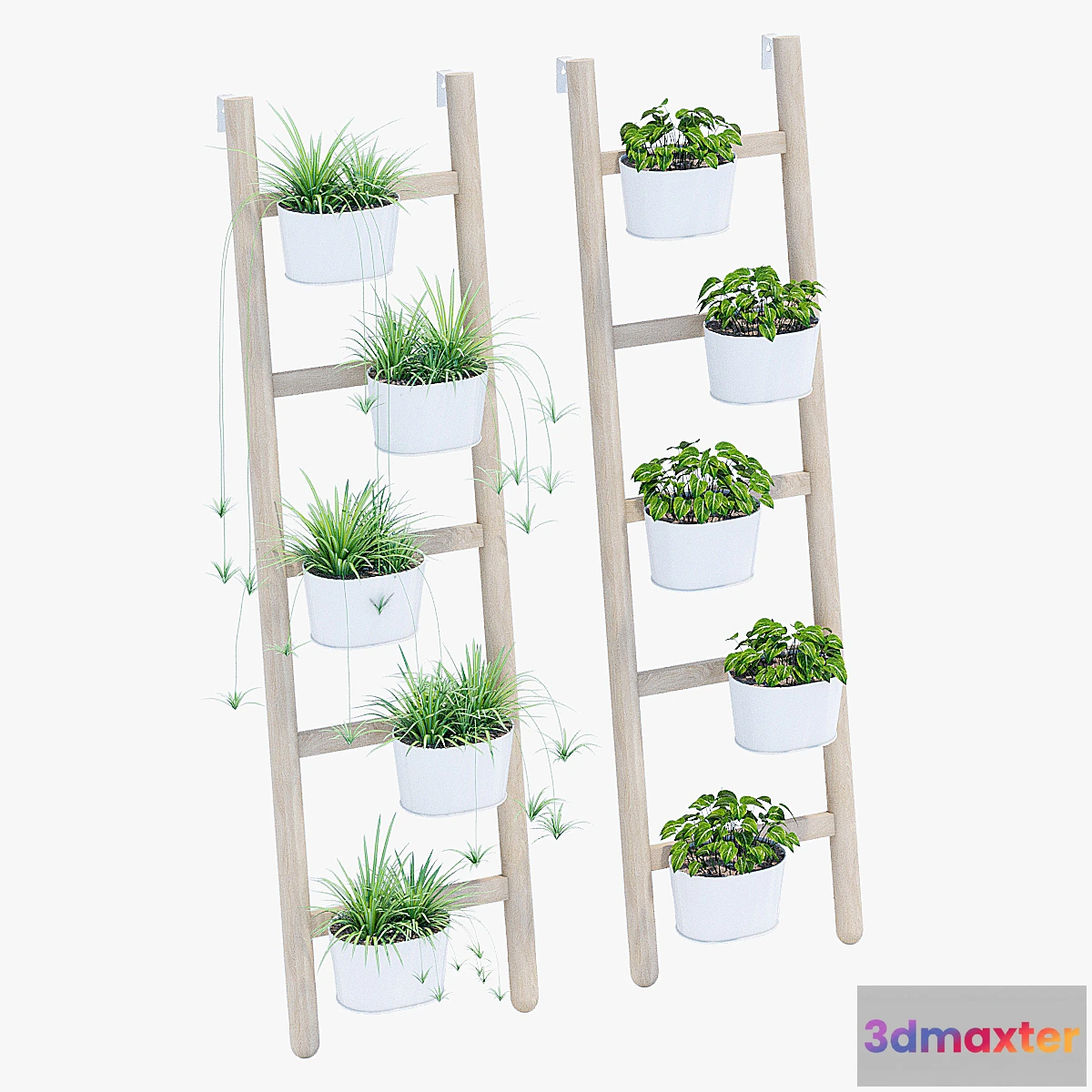 658089 - Satsumas three