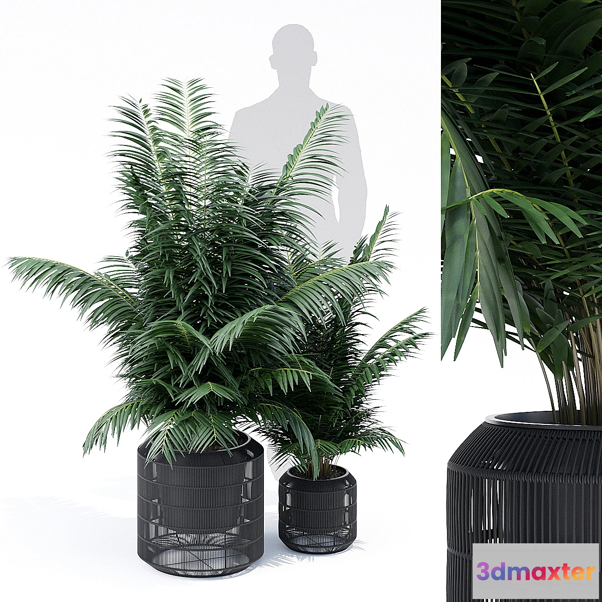 659079 - Nadda - No.2