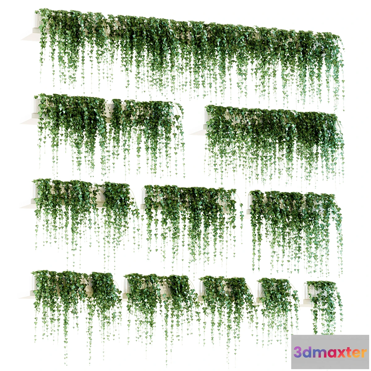 662653 - Ivy for shelves. 11 models