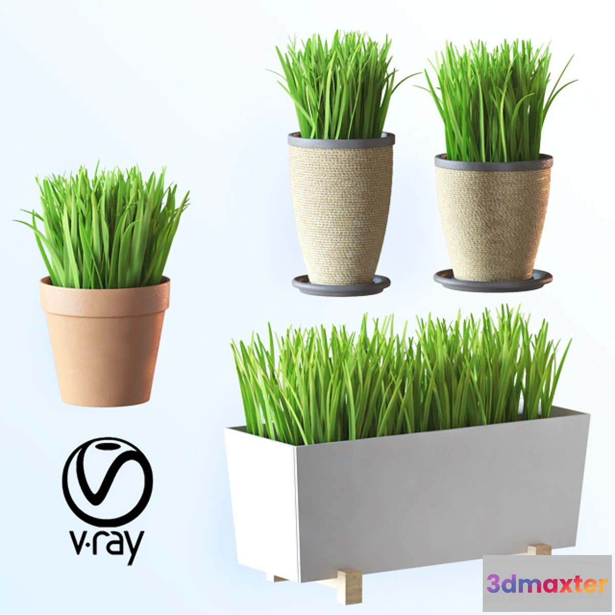 662951 - Home plant v1