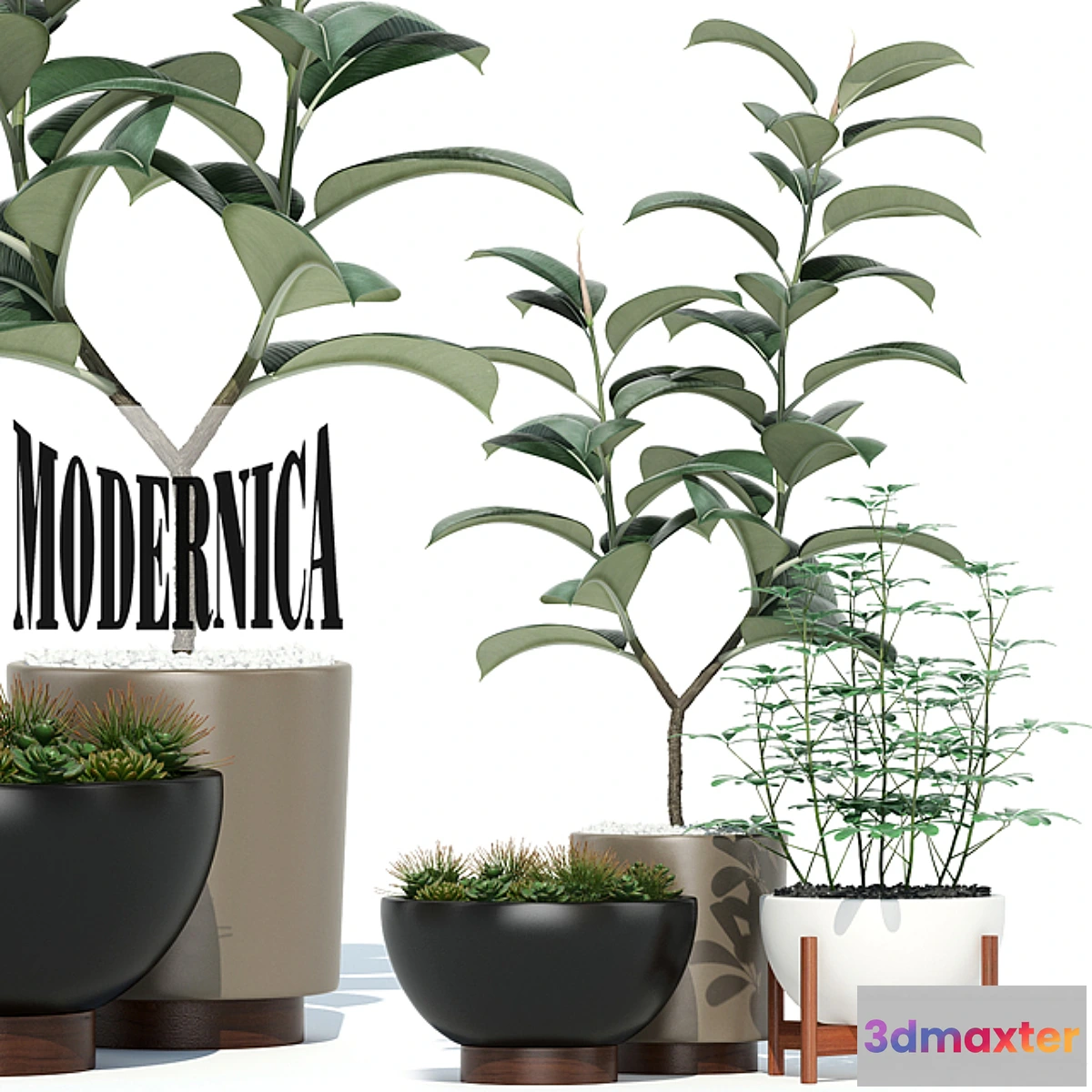 662965 - Plants collection 73 Modernica pots