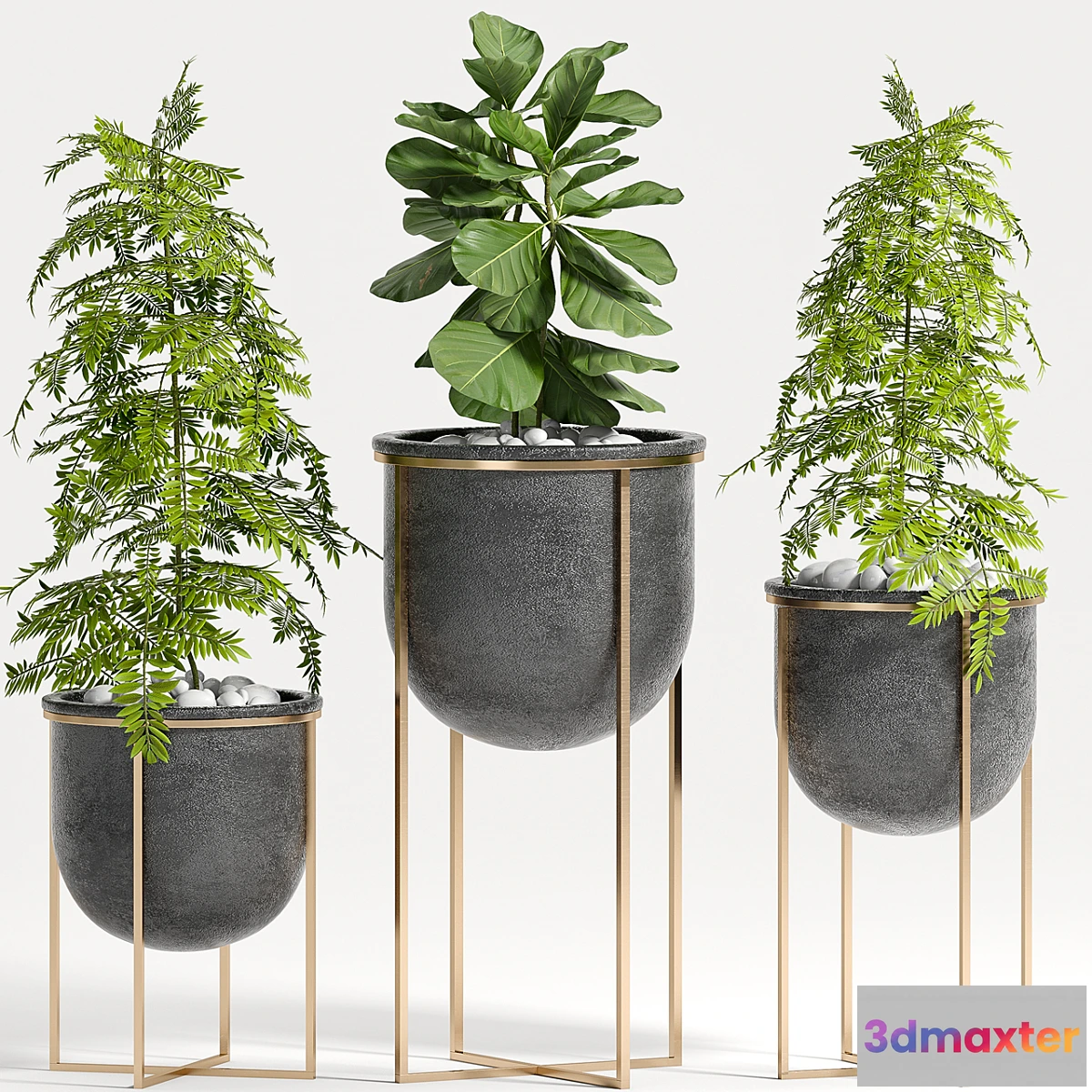 662995 - PLANT SET -80