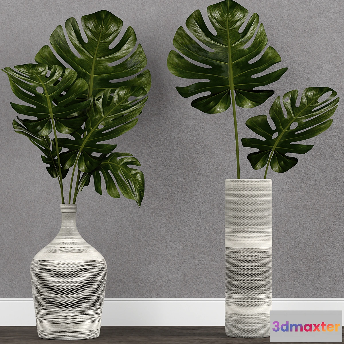 663021 - Monstera leaf in vase