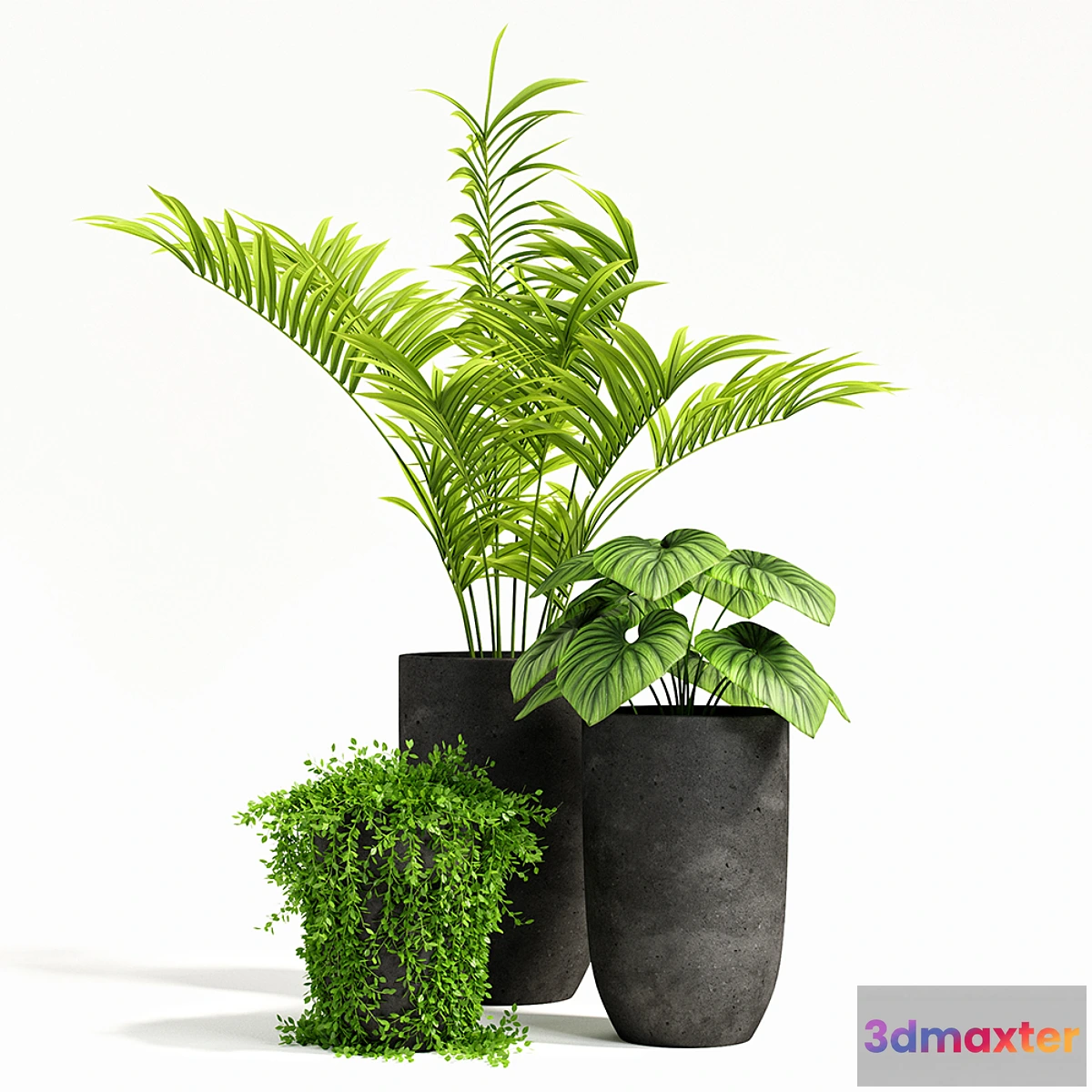 663033 - plants set 03