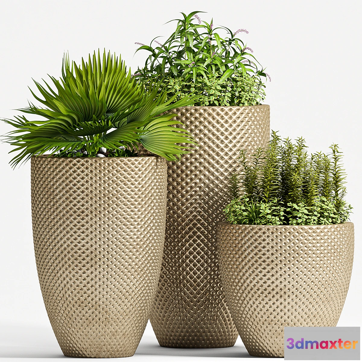 667219 - PLANT SET - 68