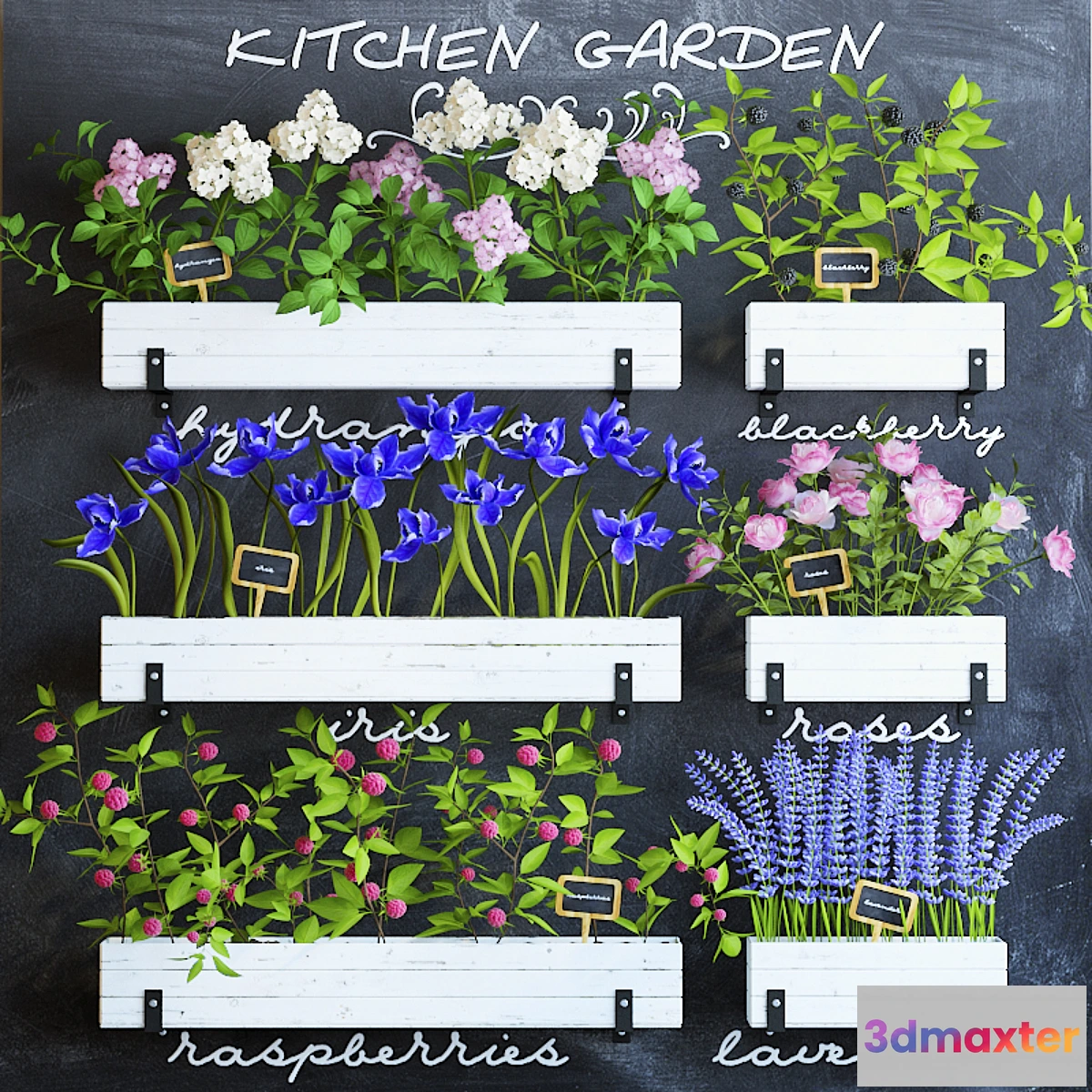 667287 - Kitchen garden 5