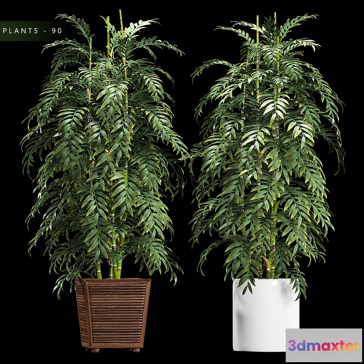 667311 - PLANTS 90 - No.2