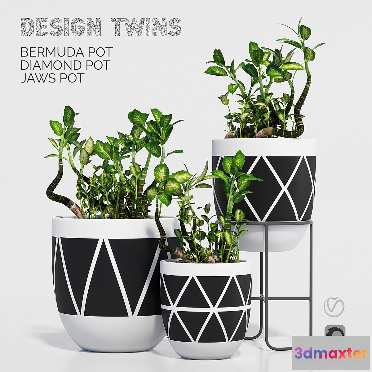 667315 - designtwins_pot