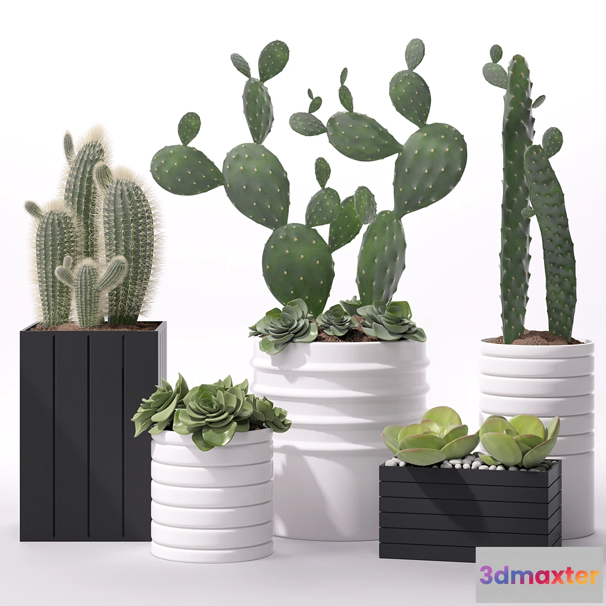 667343 - Contemporary houseplants 2 - No.2