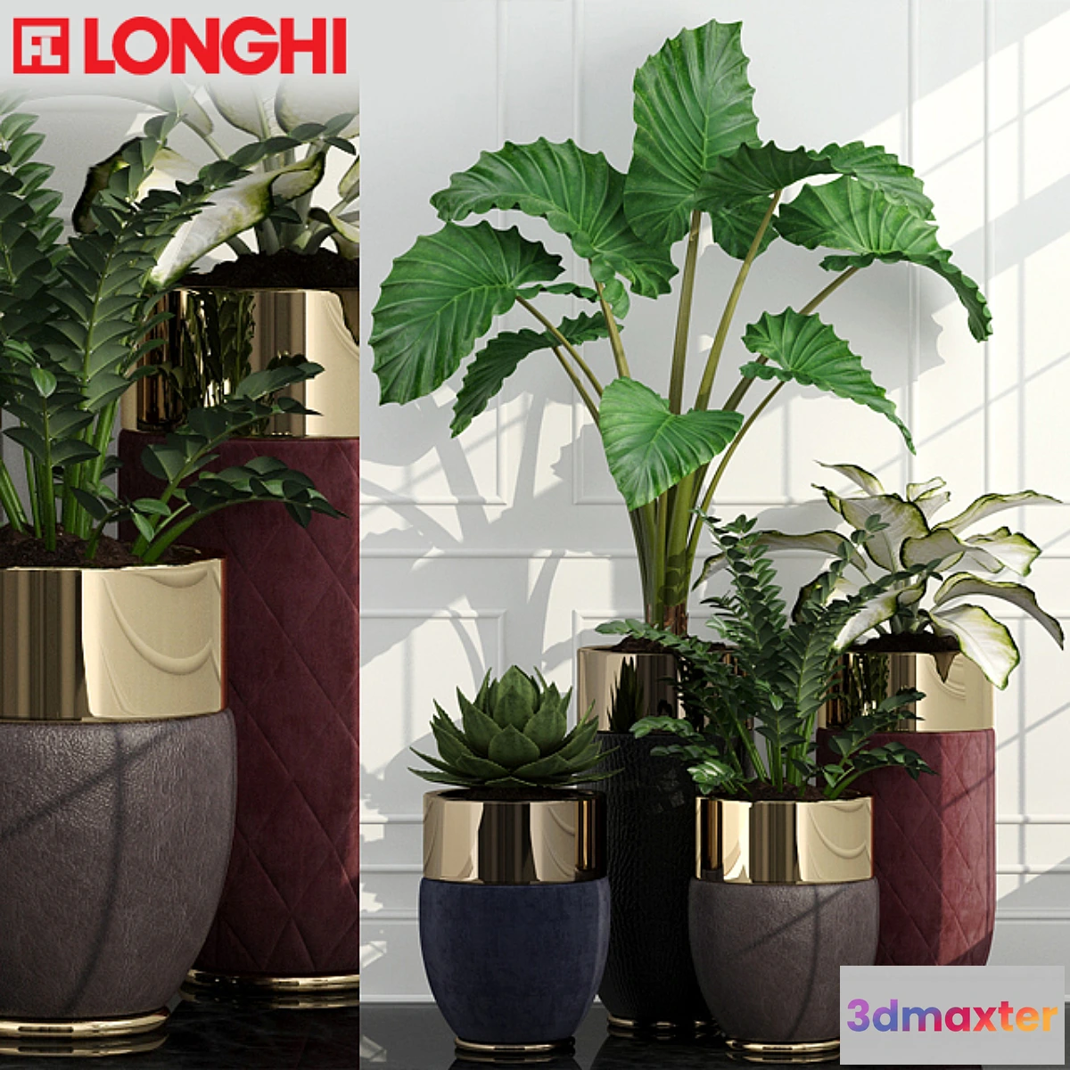 667387 - Longhi Godwin - No.2